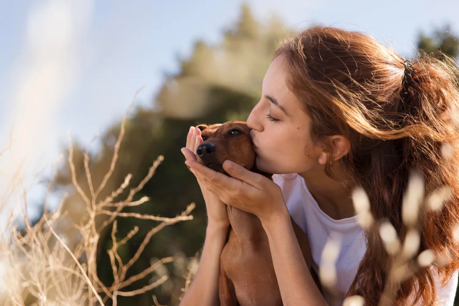 Detox Natural: Beneficios de la cosmética natural en la piel de tu perro
